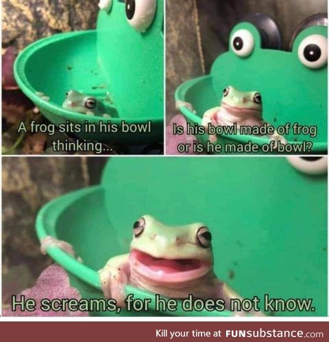 Which came first? The frog or the bowl