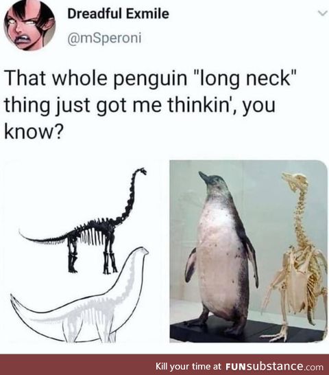 Thick boi