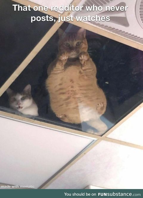 Honestly they’re kinda creepy
