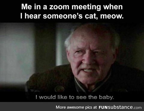 Hearing someone's cat meow