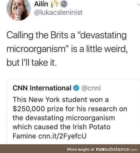 Those damst colonial organisms