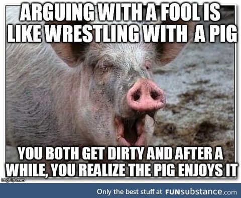 Arguing with Fools, Wrestling with Pigs