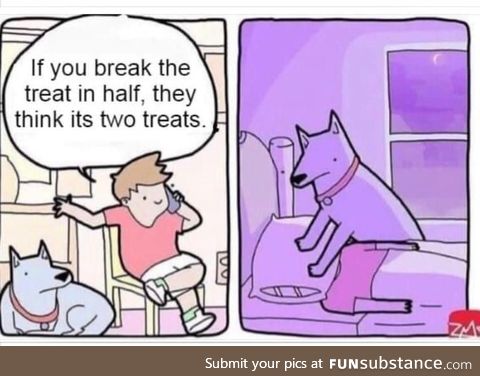 I hope none of your dogs see this