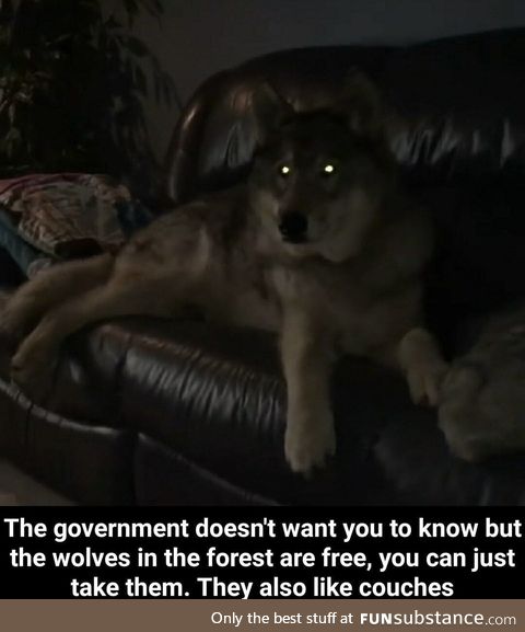 They do be free I have 5