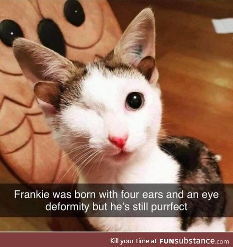 Frankie has four ears and one eye