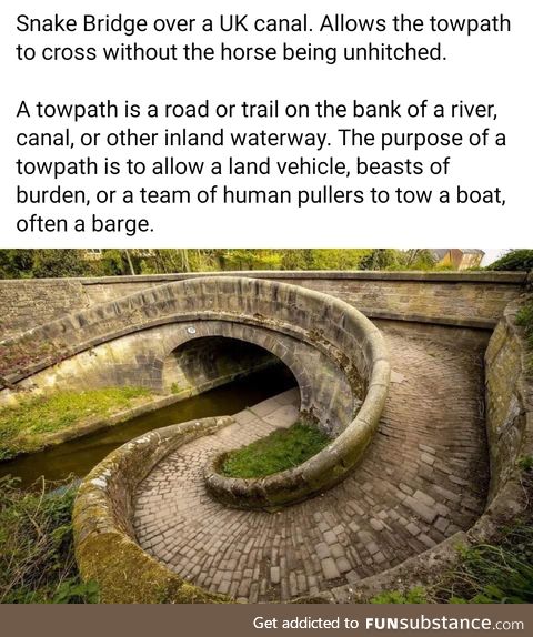 Daily dose of history, part 17