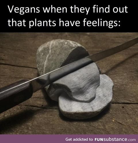 You should try it, it is very tasty and it is also good for your body