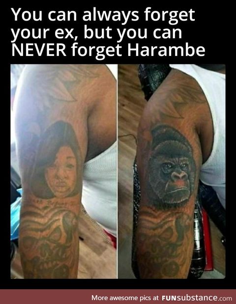 It's already been 5 years... We miss you Harambe