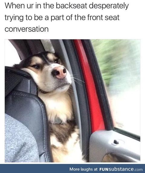 Being a poor backseat doggo