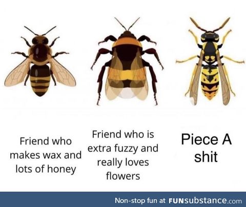 *** wasps