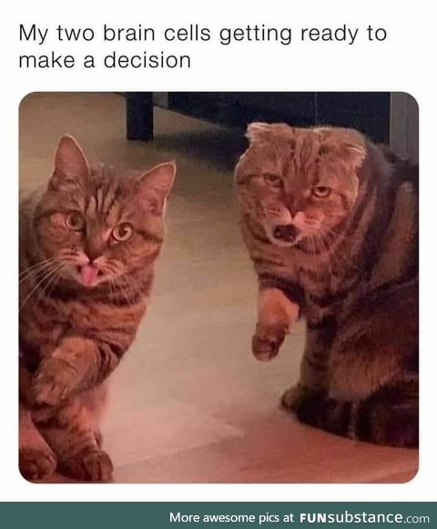 Two brain cells getting ready to make a decision