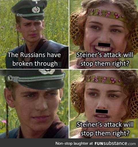 Mein fuhrer...Steiner