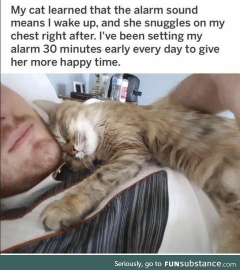 Set alarm for cat cuddles