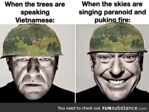 No WWII Memes? Have a 'Nam one instead