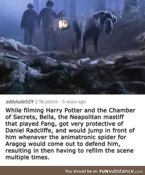 This is so sweet
