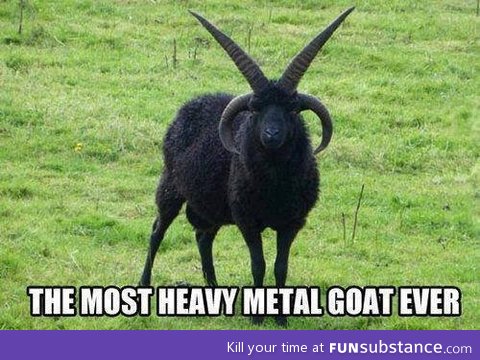 Metal as f*ck