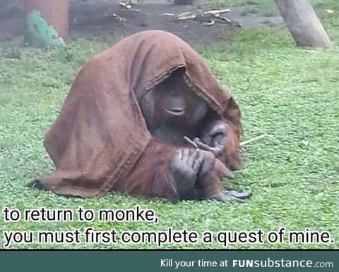 Its the elder monkey