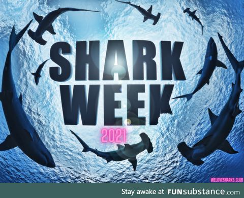 Shark Attack #1 - Shark Week