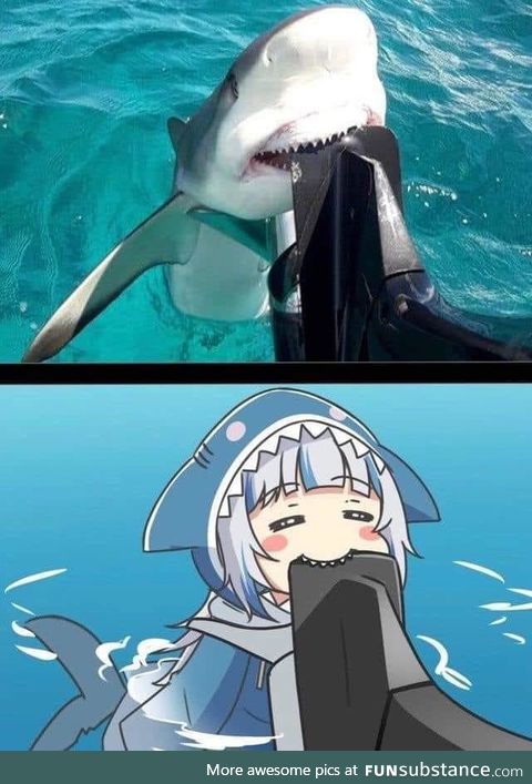 Shark Attack #20 - Life Imitates Art