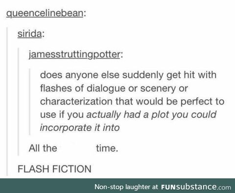 Flash Fictioin
