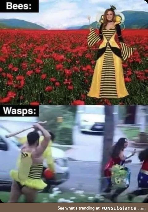 They're called Vulgaris for a reason