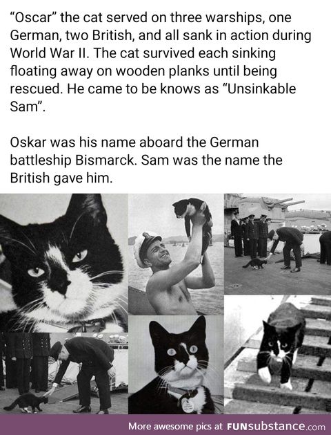 Daily dose of history, part 82