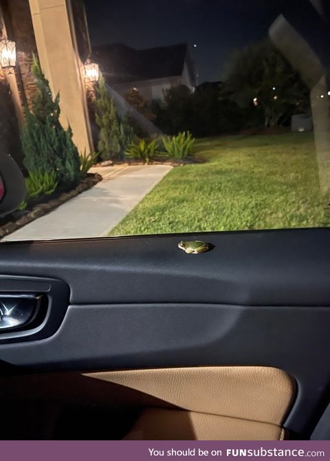 Froggo Fun #547 - Hitchhiker