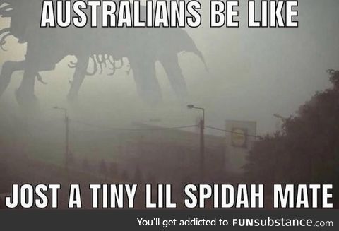 This’ll be lost in the spam. Hope at least one Australian sees it to confirm the truth