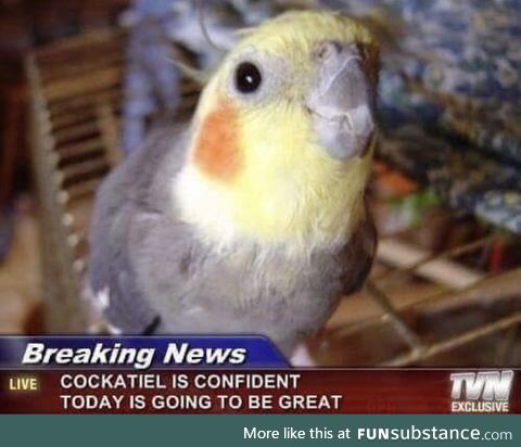 Today is going to be great