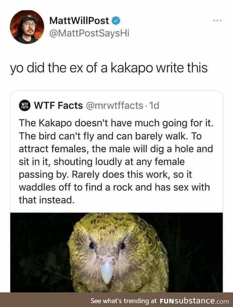 Kakapo