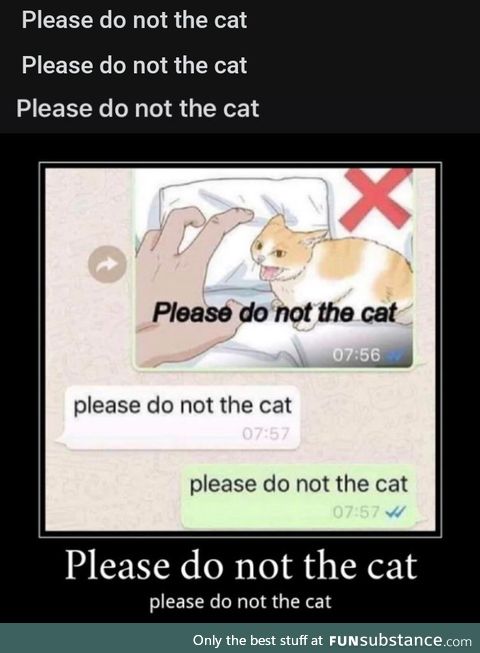 Please do not the cat