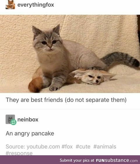 An angry pancake