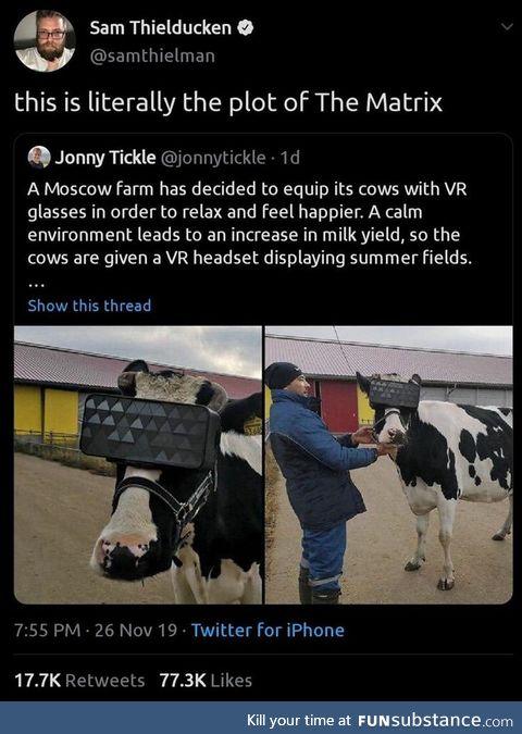 Matrix cow edition