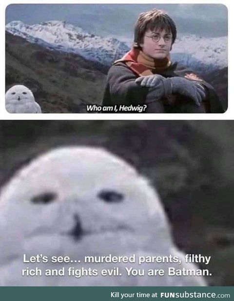 Rupert, get the Expectomobile