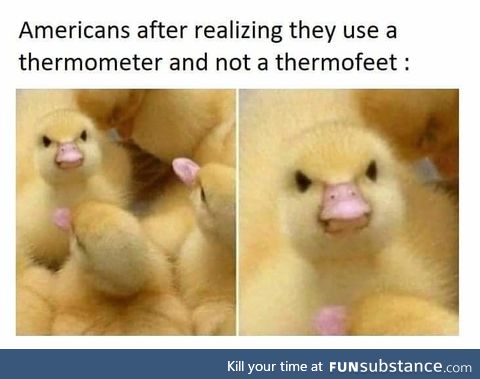 Angry Quacking