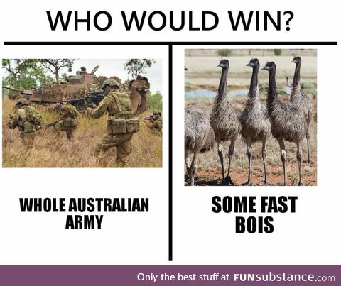 Just a few big chooks mate