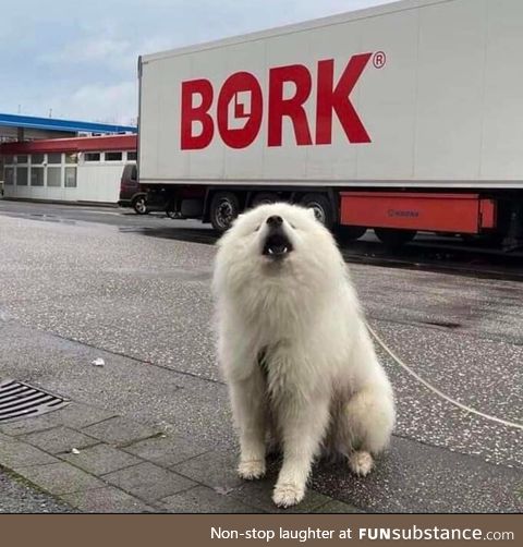 I would like shares in this company