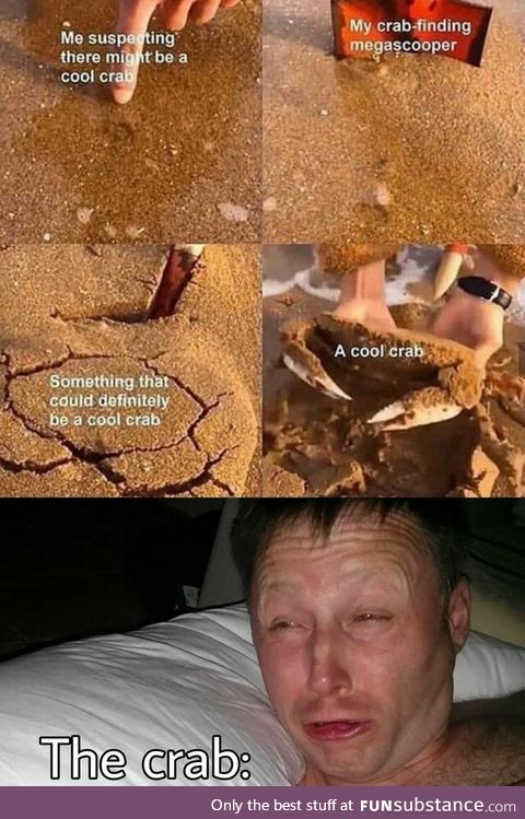 The crab