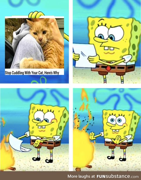 Stop cuddling with your cat