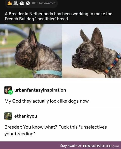 Make French bull dogs healthy again