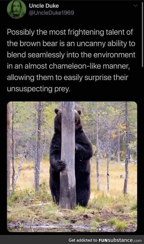 Camo