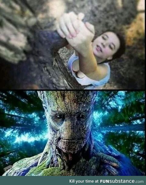 Wood you look at this