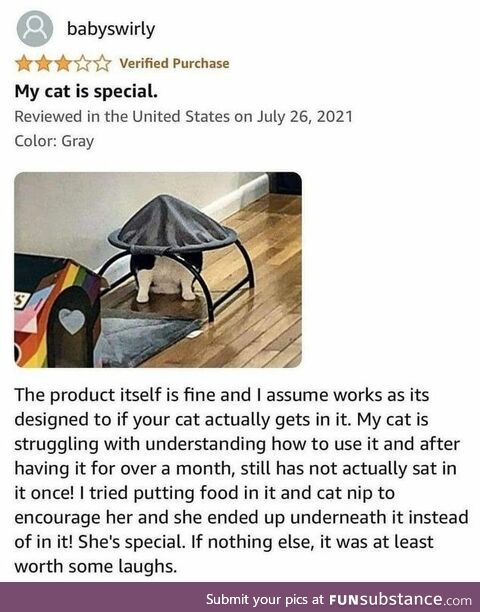 Cat is special