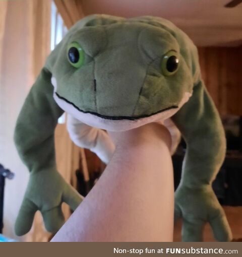 Froggo Fun R #17 - When Someone Touches Me