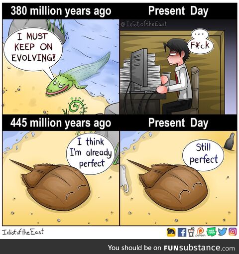 I love how the horseshoe crab refuses to evolve