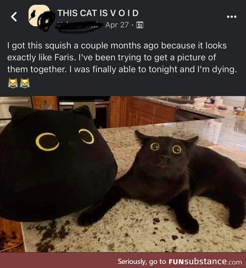 The Void Squish