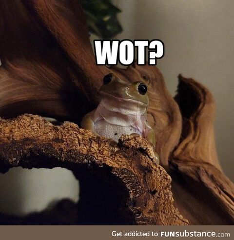 Froggo Fun R #135 - Wot