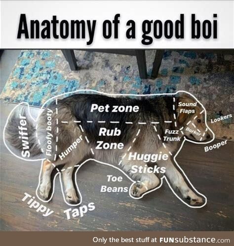 Most Helpful Chart