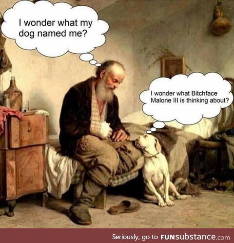 Doggos Are More Complex than They Appear