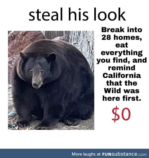 bear